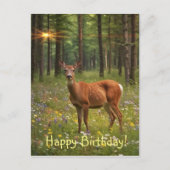 Carte Postale Cerf en Forêt Magique (Devant)
