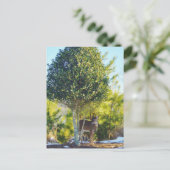 Carte Postale Cerf et baie Holly dans la neige (Debout devant)