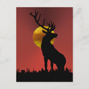 Carte Postale Cerf majestueux à cornes sous la lumière dorée du