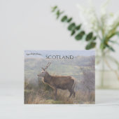 Carte Postale Cerf rouge à Islay Écosse (Debout devant)
