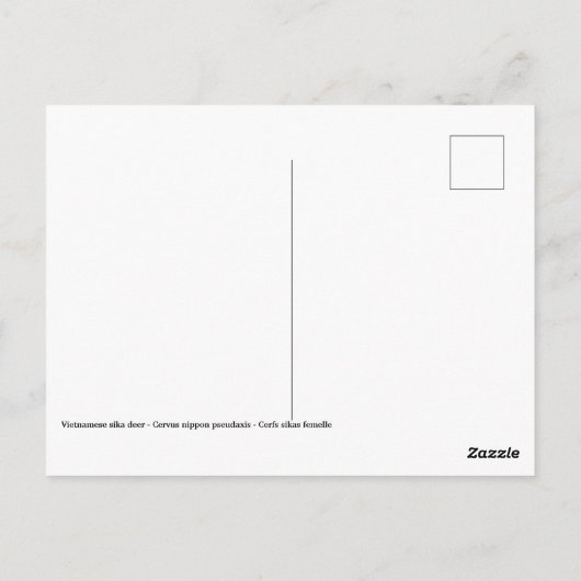 Carte Postale Cerf sika vietnamien (Dos)