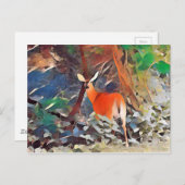 Carte Postale Cerfs communs coupés la queue par blanc (Devant / Derrière)