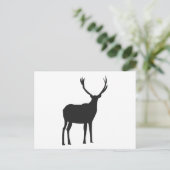 Carte Postale Cerfs Jolies Bois (Debout devant)