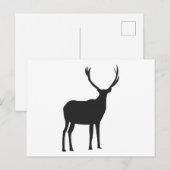 Carte Postale Cerfs Jolies Bois (Devant / Derrière)