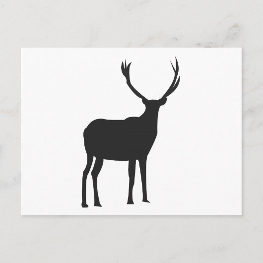 Carte Postale Cerfs Jolies Bois (Devant)