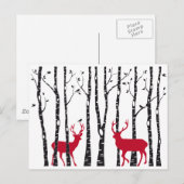 Carte Postale Cerfs rouges dans la forêt de bouleaux (Devant / Derrière)
