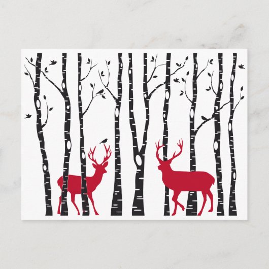 Carte Postale Cerfs rouges dans la forêt de bouleaux (Devant)