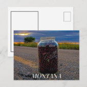 Carte Postale Cerise à grappe d'été (Devant / Derrière)