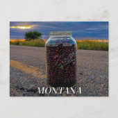 Carte Postale Cerise à grappe d'été (Devant)
