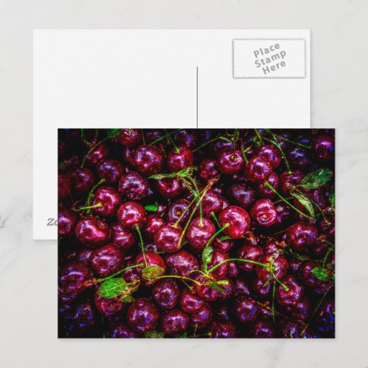 Carte Postale Cerises (Devant / Derrière)