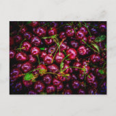 Carte Postale Cerises (Devant)