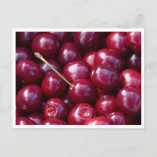 Carte postale - Cerises