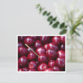 Carte postale - Cerises (Debout devant)