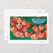 Carte Postale Cerises de la ville des cerisesLes Dalles, OU (Devant / Derrière)