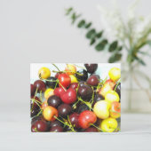 Carte postale Cerises mixtes (Debout devant)