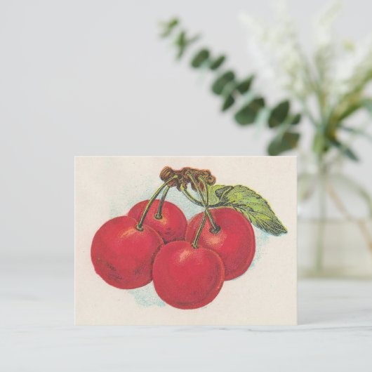 Carte Postale Cerises rouges (Debout devant)