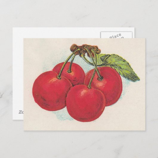 Carte Postale Cerises rouges (Devant / Derrière)