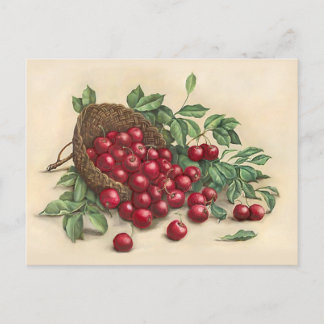 Carte Postale Cerises rouges sucrées