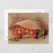 Carte Postale Cerises rouges vintages dans un panier (Devant / Derrière)