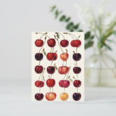 Carte Postale Cerises vintages (Debout devant)