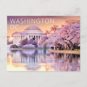 Carte Postale Cerisiers en fleurs du mémorial Jefferson de Washi