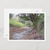 Carte Postale cerro colorado (Devant / Derrière)