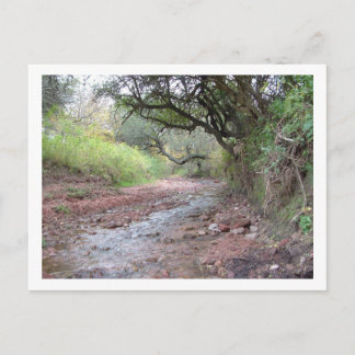 Carte Postale cerro colorado