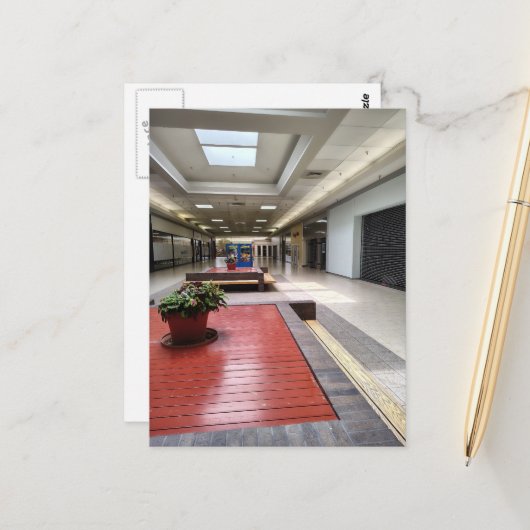 Carte Postale Certaines plantes dans un espace liminal d'un cent (Devant/Arrière en situation)