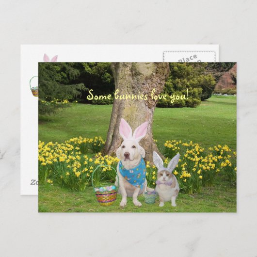 Carte Postale Certains lapins vous aiment ! (Devant / Derrière)