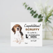 Carte Postale Certificat de chien 311-Super Duper (Debout devant)