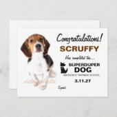 Carte Postale Certificat de chien 311-Super Duper (Devant / Derrière)