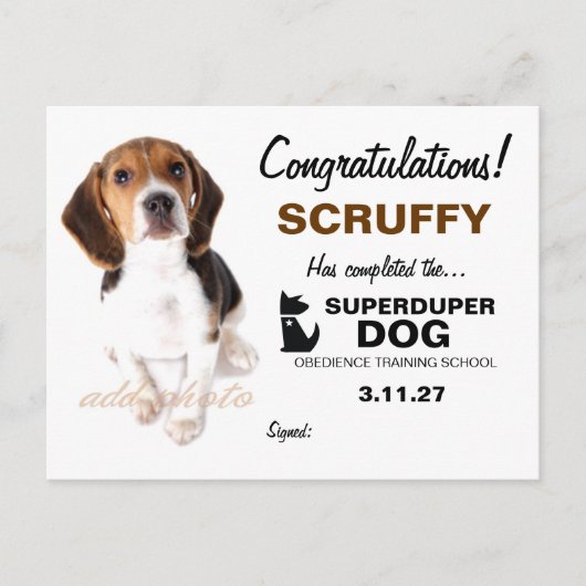 Carte Postale Certificat de chien 311-Super Duper (Devant)