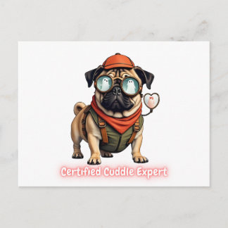 Carte Postale Certified Cuddle Expert Invitation Postcard