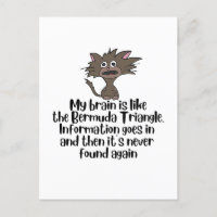Cerveau Bermudes Funny Crazy Cat Expression