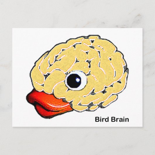 Carte Postale Cerveau d'oiseaux (Devant)