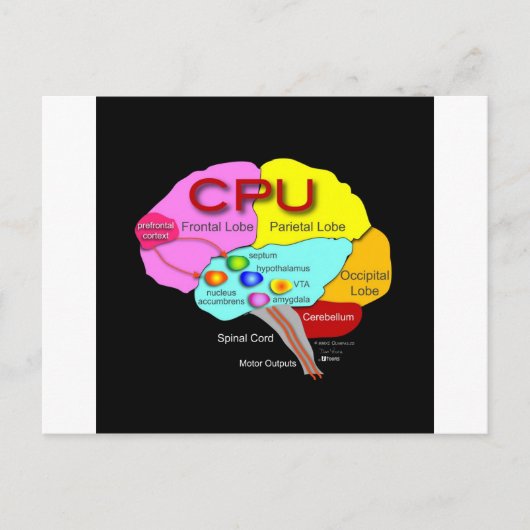 Carte Postale Cerveau processeur (Devant)