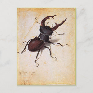 Carte Postale Cervus Lucanus par Albrecht Durer
