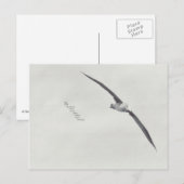 Carte Postale "ces ailes" (Devant / Derrière)