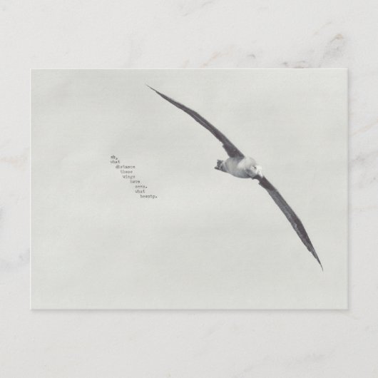 Carte Postale "ces ailes" (Devant)