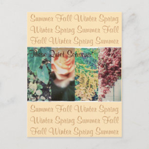 Carte Postale Ces Saisons Tranquilles Quatre Saisons