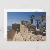 Carte Postale Césarée ruines du port construit par Hérode le Gra (Devant / Derrière)