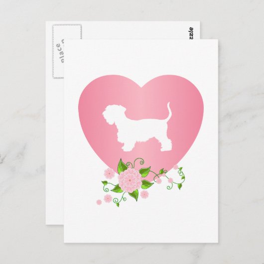 Carte Postale Cesky Terrier (Devant / Derrière)