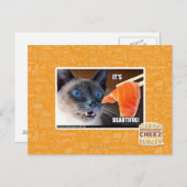 Carte Postale C'est beau ! (Devant / Derrière)