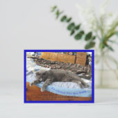 Carte Postale C'est bon d'être roi (Debout devant)