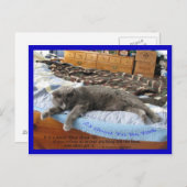 Carte Postale C'est bon d'être roi (Devant / Derrière)