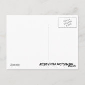 Carte Postale C'est la vie... (Dos)