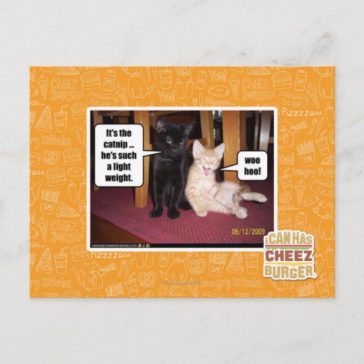 Carte Postale C'est le catnip (Devant)