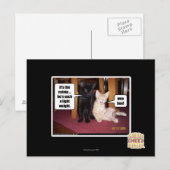 Carte Postale C'est le catnip (Devant / Derrière)