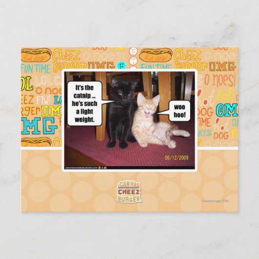 Carte Postale C'est le catnip (Devant)