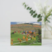 Carte Postale C'est l'Ontario, Canada (Debout devant)